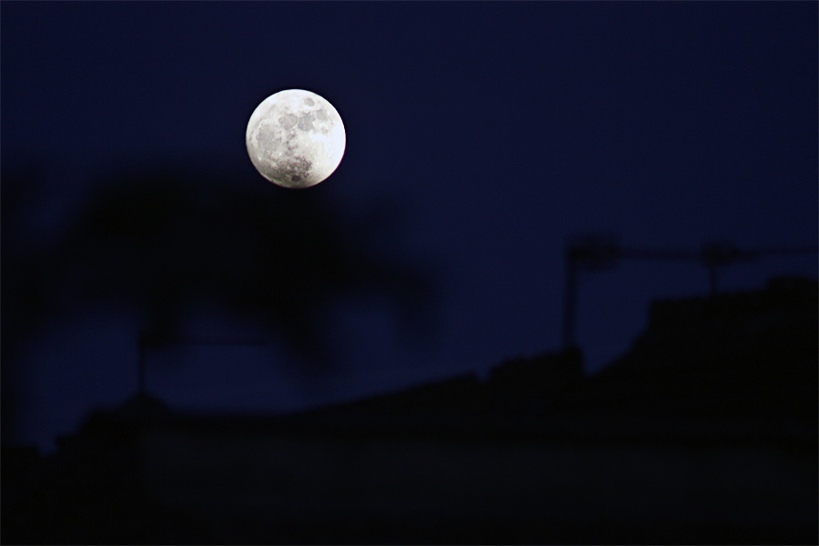 roofmoon