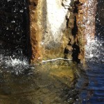 Water is a soothsayer.